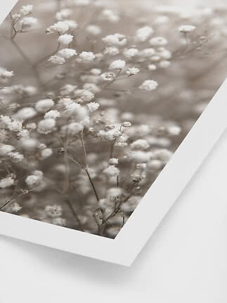 Nahaufnahme kleiner weißer Blumen in sanften Beigetönen in einem weißen Rahmen