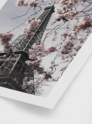 Gerahmtes Foto des Eiffelturms von unten, umgeben von rosa blühenden Zweigen