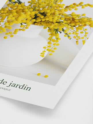 Gele mimosa bloemen op een witte poster met minimalistisch ontwerp