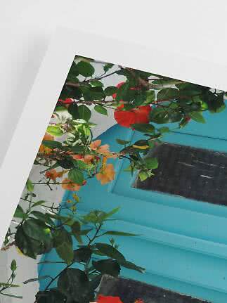 Flowering green branches in front of a turquoise window on a white wall