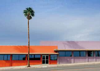 Hohe Palme vor einem orange- und lilafarbenen Gebäude unter blauem Himmel