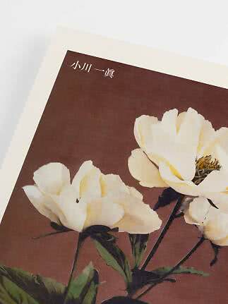 Plakat med hvide blomster på brun baggrund og japansk tekst øverst