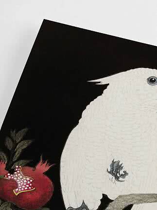 Illustration d’un oiseau blanc sur une branche près d’une grenade rouge sur fond noir
