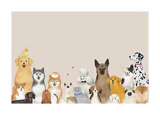 Illustrazione di tanti animali domestici carini insieme, soprattutto cani con gatti, uccello e riccio