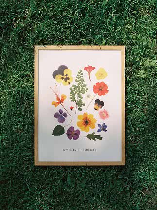 Affiche florale encadrée avec fleurs sauvages pressées sur fond blanc, posée sur l’herbe verte