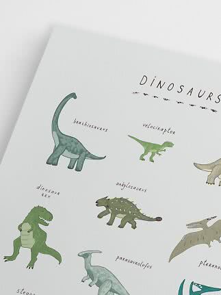 Plakat z ilustrowanymi dinozaurami i nazwami na białym tle