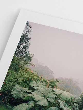 Angled photo print of a misty tropical landscape with large green leaves and red flowers