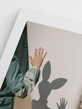 Hand in hellgrüner Bluse vor großer weißer Platte mit Blatt- und Handschatten