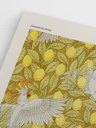 Affiche avec cacatoès et citrons dans des tons jaunes et verts, titre français en haut