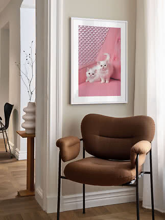 Indrammet billede af to hvide killinger på en pink stol hængt over en brun lænestol