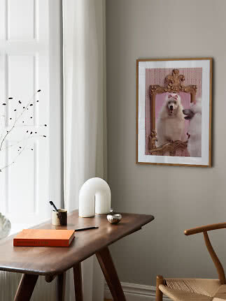 Gerahmtes Poster eines weißen Pudels vor goldenem Spiegel auf rosa Hintergrund im hellen Raum