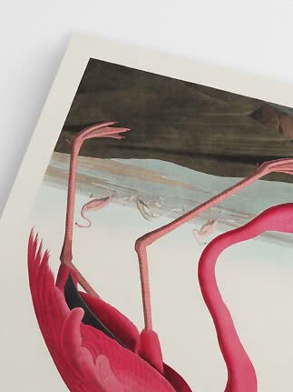 Nærbillede af plakat med pink flamingo vendt på hovedet mod hvid baggrund