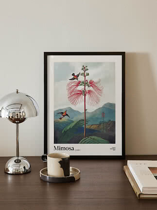 Inramad Mimosa-poster med botaniskt motiv på ett bord bredvid en kromlampa, mugg och bok