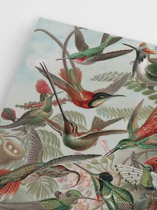 Illustration bunter Kolibris zwischen Blumen und Zweigen auf hellem Hintergrund