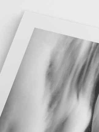Primer plano de una lámina en blanco y negro con borde blanco y sombras suaves