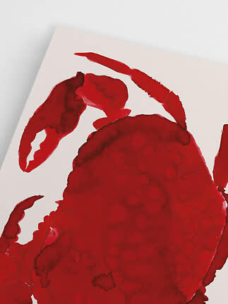 Red watercolor illustration of a crab on a white background