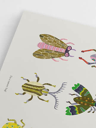 Poster with colorful illustrated insects on a white background