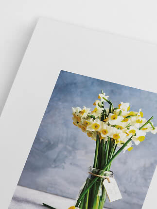 Photo imprimée de jonquilles blanches et jaunes dans un vase en verre sur fond blanc