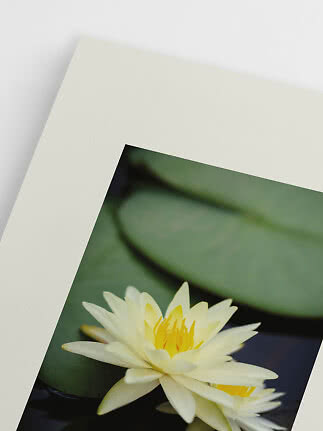 Close-up van een print met lichtgele waterlelies op donker water en groene bladeren