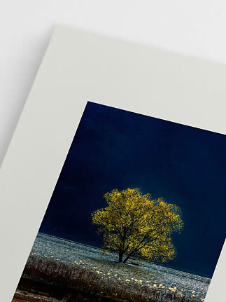 Stampa d’arte con albero giallo sul lago sotto un cielo blu scuro