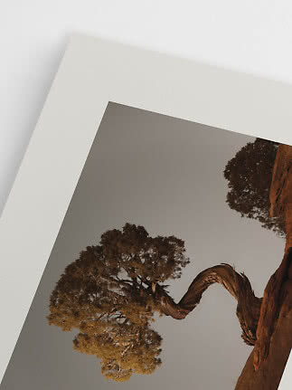 Close-up of a poster showing a twisted tree in a desert landscape on a white background