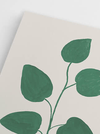 Illustrazione minimalista di pianta con foglie verdi su sfondo chiaro