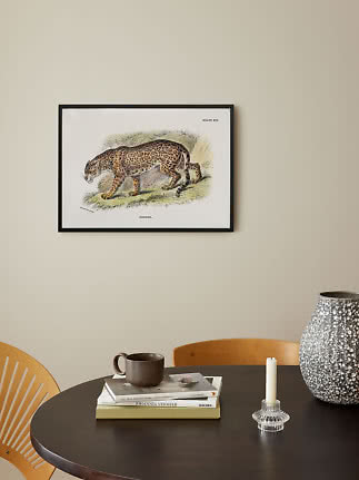Inramad vintagebild med jaguarillustration ovanför ett mörkt bord