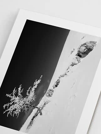 Sort-hvid plakat med et frostklædt træ og sneklædte sten i et vinterlandskab
