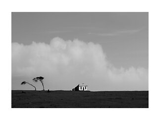 Schwarz-weiß-Landschaft mit kleinem Haus und zwei windgebeugten Bäumen unter großen Wolken