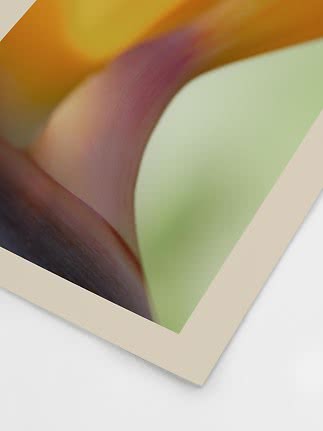 Nærbillede af abstrakt blomsterfoto print med bløde gule, grønne og rosa toner
