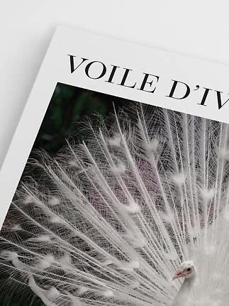 Close-up of art print with text VOILE D’IV and a white peacock with spread tail