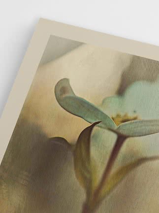 Primo piano di stampa botanica con foglie verdi e ombre morbide su sfondo beige