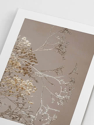 Nærbillede af trykkets hvide margin og de tørrede blomster på tynde stilke mod varm beige