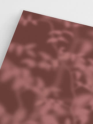 Close-up of the pale pink leaves on the deep oxblood ground, where the contrast drops almost to nothing