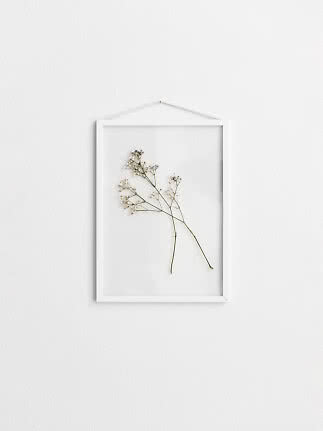 White frame with a pressed dried flower stem hanging on a white wall
