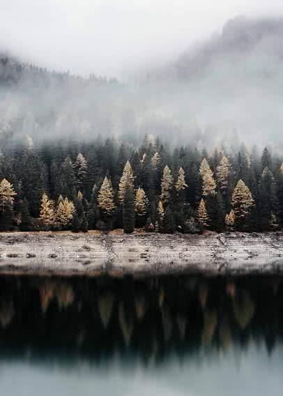 Nebeliger Wald an einem stillen See mit dunklen Tannen und goldenen Bäumen im Wasser gespiegelt
