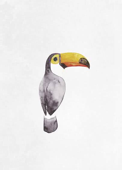 Illustration aquarelle d’un toucan au bec jaune et orange sur fond blanc