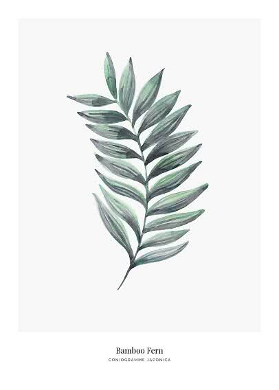 Botanical print with watercolor green bamboo fern on white background
