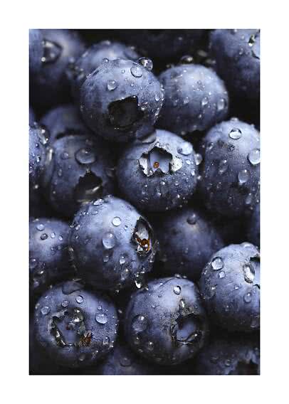 Close-up of fresh blueberries with water droplets