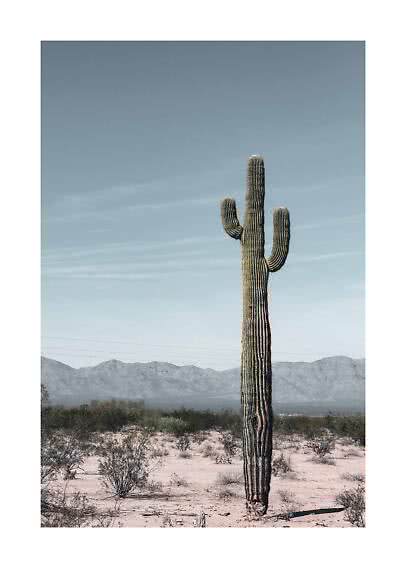 Alto cactus saguaro in paesaggio desertico con montagne e cielo azzurro