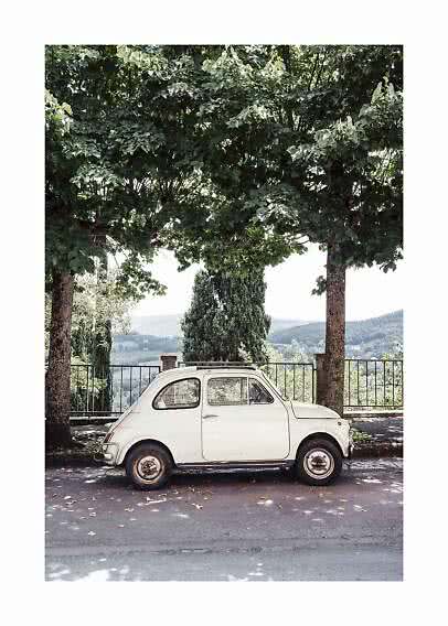 Small white vintage car parked under large trees overlooking rolling hills