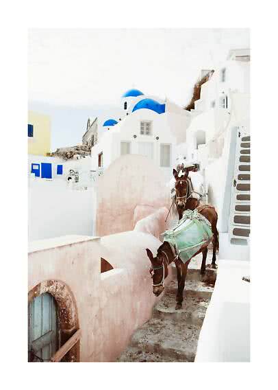 To æsler på en smal sti mellem hvide bygninger med blå kupler i Santorini