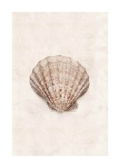 Brown scallop shell with ridged texture on a light beige background