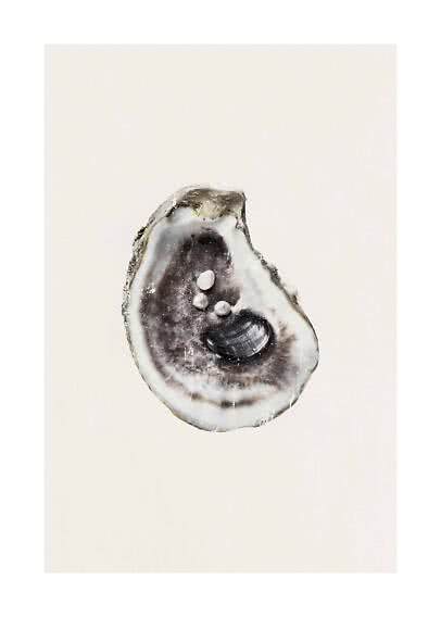 Open oyster shell with a dark pearl and three small pearls on a light background