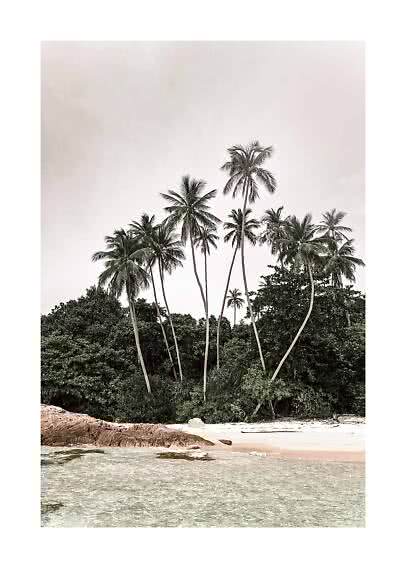 Tropisk strand med høje palmer, tæt grøn vegetation, klipper og lavt klart vand