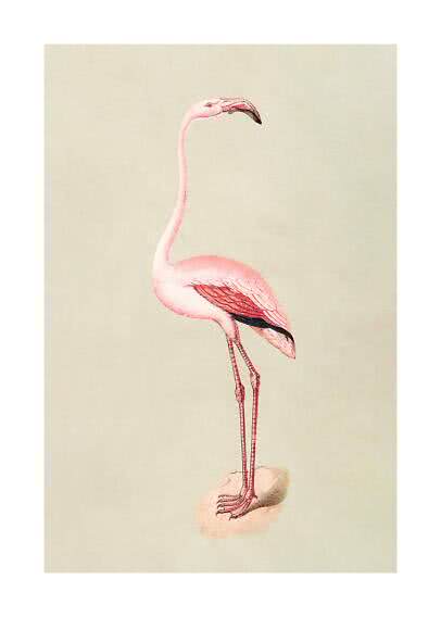 Illustration of a pink flamingo standing on a rock against a light beige background