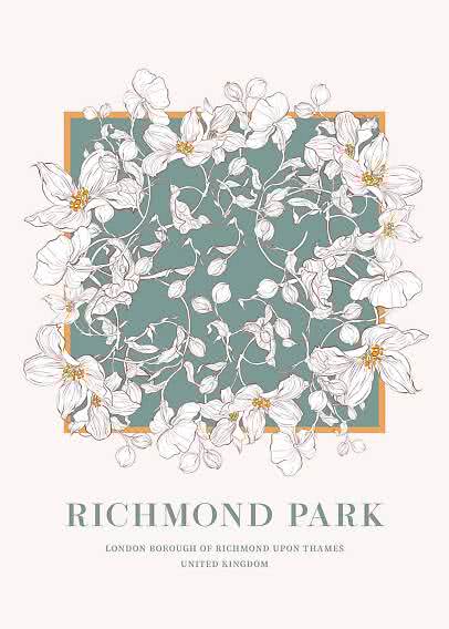Floral poster with white blossoms around a green square, text: Richmond Park, London, United Kingdom