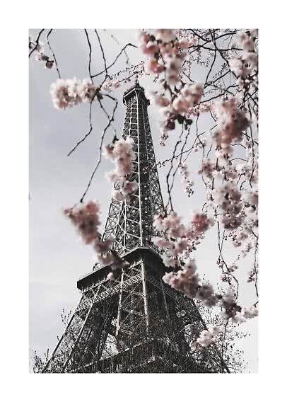 Eiffelturm von unten durch rosa Kirschblüten vor hellem Himmel gesehen