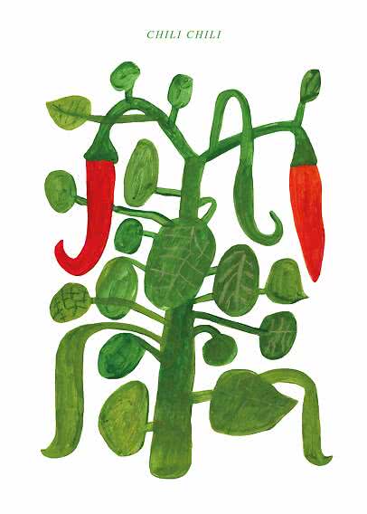 Illustration d’un plant de piment vert avec feuilles et deux piments rouges sur fond blanc