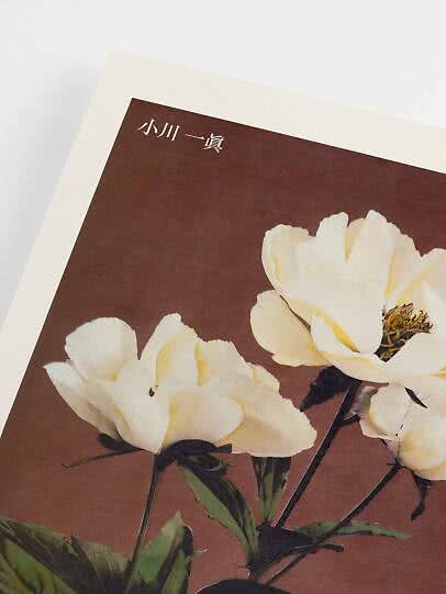 Vintage floral poster – Haerdaceous Peony by Ogawa Kazumasa